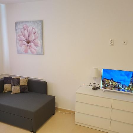 Apartament Podbara Center Nowy Sad Zewnętrze zdjęcie