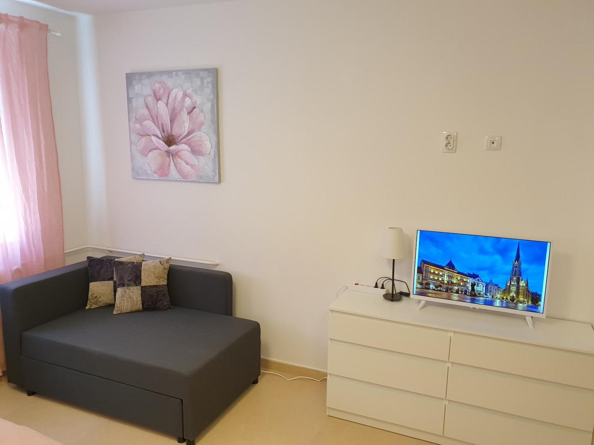 Apartament Podbara Center Nowy Sad Zewnętrze zdjęcie